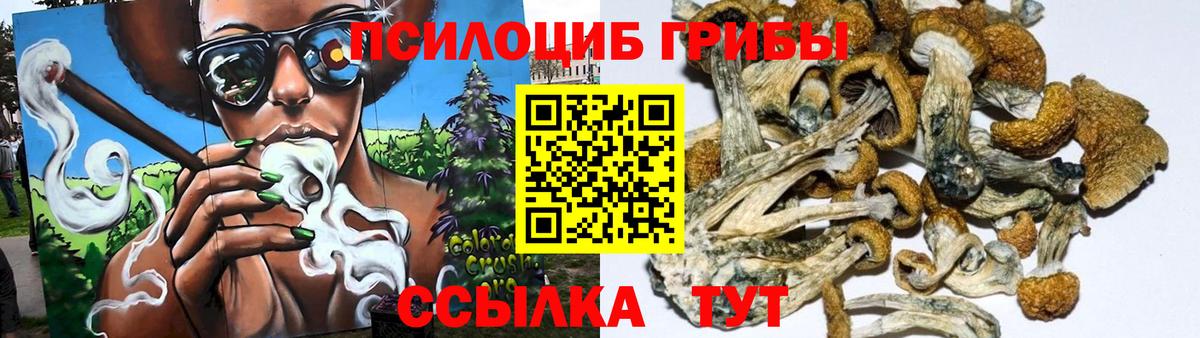 Галлюциногенные грибы Cubensis Удомля