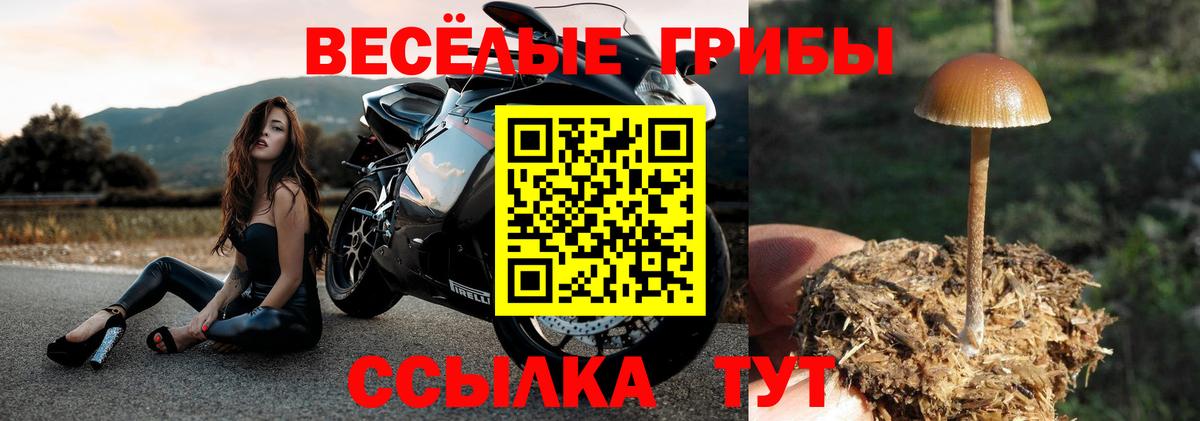 Удомля  Галлюциногенные грибы прущие грибы  Галлюциногенные грибы мицелий  Вход с VPN 